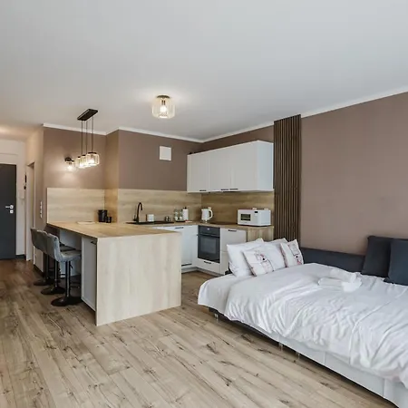Apartment Lasek Marcelinski Deluxe Poznan